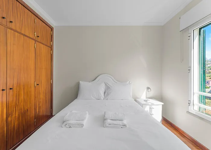 Tulipa Prime Location *